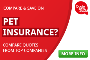 pet insurance quote image